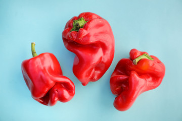 Red sweet pepper . ugly vegetables, three peppers on a blue background.