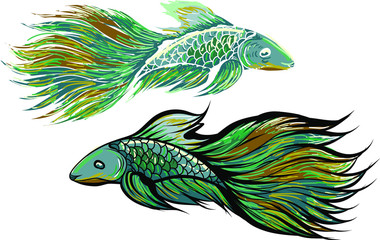 Hand drawn and colorful beautiful siamese fighting fish.Thai beautiful fish tatoo.infinity shape asian fish.