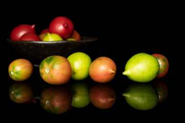 Lot of whole fresh tomato de barao on glazed bowl isolated on black glass