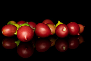 Lot of whole fresh tomato de barao isolated on black glass
