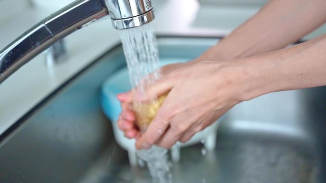 じゃがいもを洗う女性