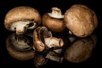 Group of four whole fresh brown mushroom champignon one in focus isolated on black glass
