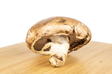 Fototapeta premium One whole fresh brown mushroom champignon on bamboo cutting board isolated on white background