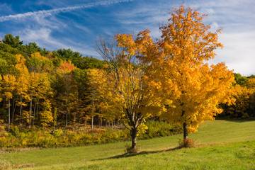 Fototapeta na wymiar Autumn landscape of Berkshire Hills, Massachusetts, USA with trees and blue sky