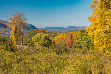 Fototapeta premium Panorama of autumn landscape with trees and blue sky