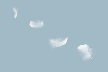 Abstract, soft white feathers floating in the air