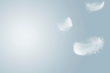 Abstract, soft white feathers floating in the air