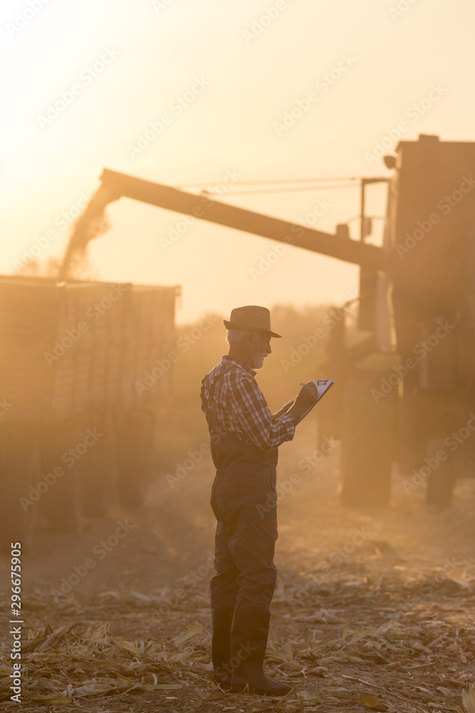 Sticker farmer in front of combine harvester