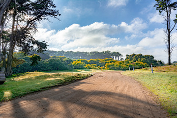 beautiful sandy path between trees