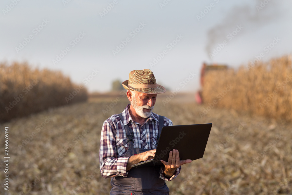 Sticker farmer with laptop at corn harvest