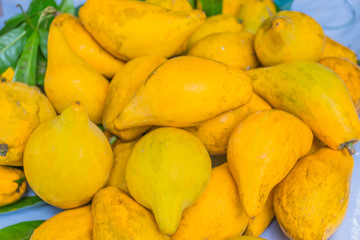 Ripe of Canistel, Egg fruit.
