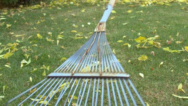 A person raking the leaves with a rake tools on the lawn during the fall