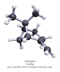 Pinene is the most widely distributed of all terpenes. The alpha and beta isomers of pinene are are commonly associated with pine trees
