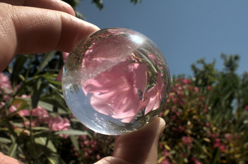 Quartz sphere with inclusions lensing a scene in a Tuscan garden