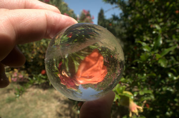 Quartz sphere with inclusions lensing a scene in a Tuscan garden
