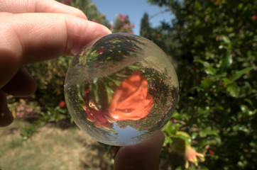 Quartz sphere with inclusions lensing a scene in a Tuscan garden