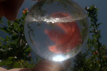 Quartz sphere with inclusions lensing a scene in a Tuscan garden