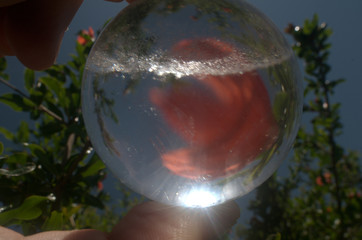 Quartz sphere with inclusions lensing a scene in a Tuscan garden