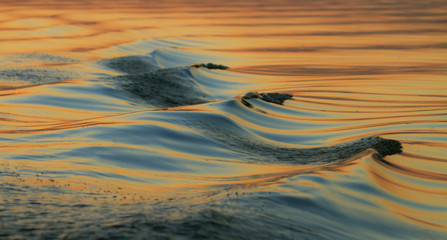 Beautiful sunrise colors and water reflections in the Danube Delta, Romania, in spring