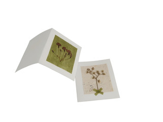 Craft card handmade with dry pressed flowers isolated on white background