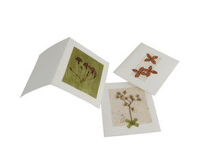 Craft card handmade with dry pressed flowers isolated on white background