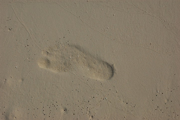 Fototapeta na wymiar A footprint on the wet sand of the Maldives