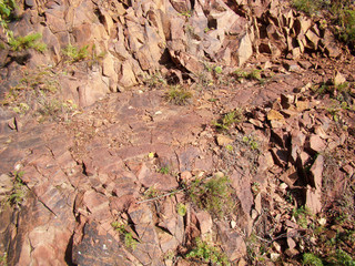 Rock formation for background. Green plants. Sharp stones.