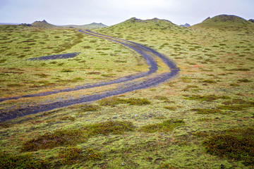 Beautiful landscape with wooly moss on a rainy day in Iceland