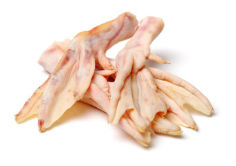 Geese paws on white background