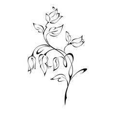 stylized twig with flower buds, leaves and curls in black lines on a white background