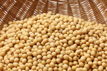 soy beans on white background.