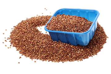 Sorgo seed (Sorghum Moench) on white background