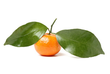 Tangerine isolated on a white background