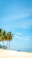 Beautiful view at derawan Island, Indonesia. coconut tree and white sand on the beach