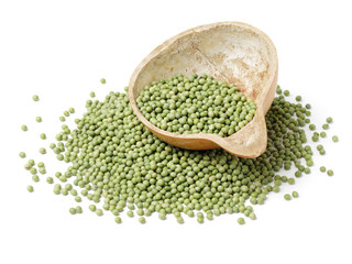 soya beans on white background 