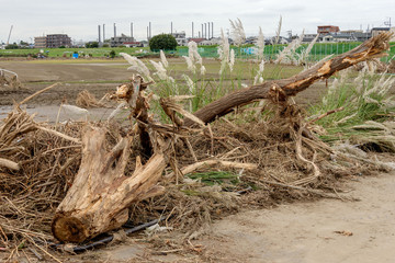 多摩川台風被害