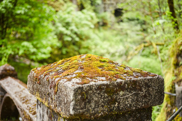 moss covered cap stone