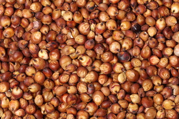 Sorgo seed (Sorghum Moench)