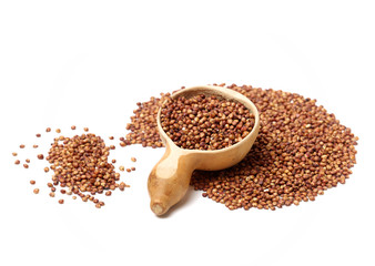 Sorgo seed (Sorghum Moench) on white background
