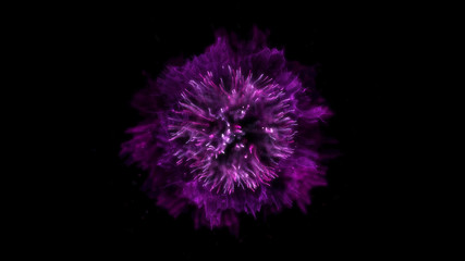 Explode background. Explosion isolated. Black backdrop. Round shockwave. Abstract element. Purple color