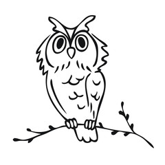 illustration owl on tree branch