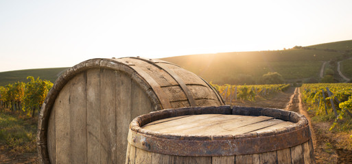 Red wine with barrel on vineyard in green Tuscany, Italy
