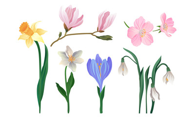 Realistic Flowers Set. Decorative Floral Vector Elements Collection