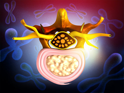 Human spine detailed anatomy. abstract scientific background. 3d illustration .