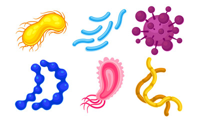 Fototapeta premium Different Microorganisms Isolated On White Background Vector Illustrated Set