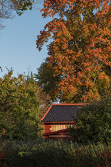 Autumn landscape in morning sunshine in Stockholm .