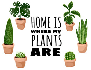 Home is where my plants are postcard. Set of hygge potted succulent plants flyer. Cozy lagom scandinavian style collection of plants © Olga