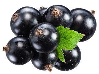 Ripe blackcurrant branch with green leaf on the white background. Clipping path.