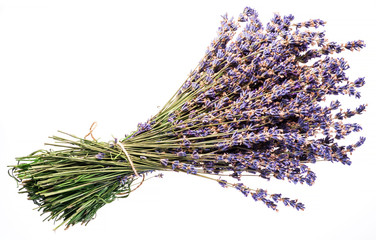 Bunch of dry lavandula or lavender flowers on white background.