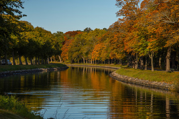 Fototapeta na wymiar Autumn colour full landscape in Stockholm